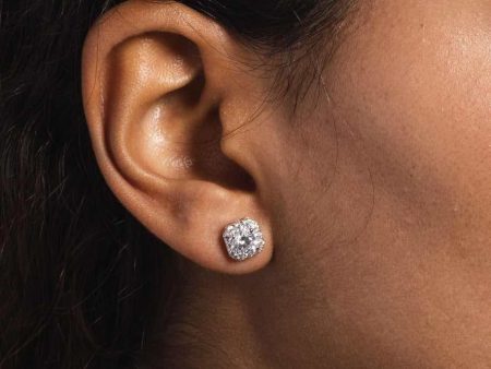 14k Solid White Gold Micro Clustered Diamond Earrings For Sale