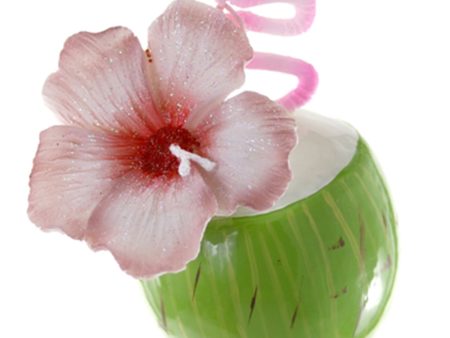 Glass Ornament - Coconut Water For Sale